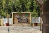 Aarian Woods Boutique Resort ( Max. 50 PAX )